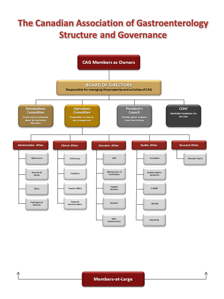 CAG org structure June2020